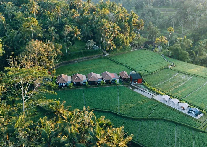 Eco Oasis Wooden Ubud ヴィラ テガララン