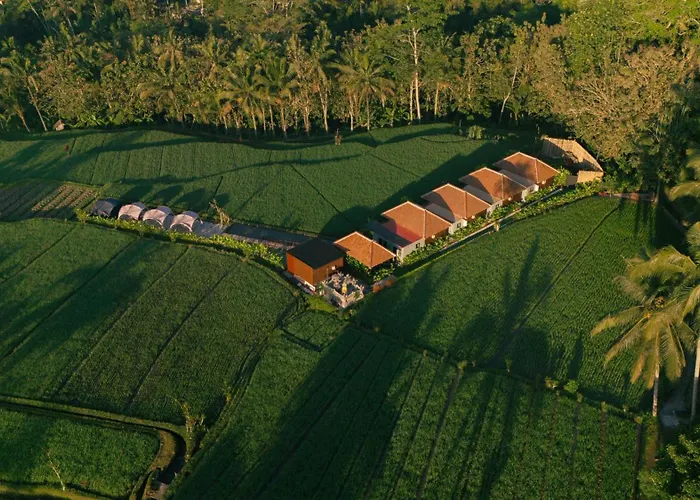 Eco Oasis Wooden Ubud *