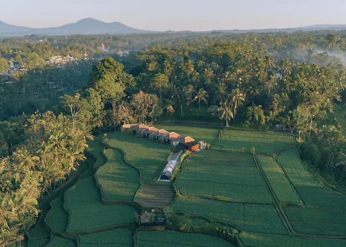 Eco Oasis Wooden Ubud ヴィラ