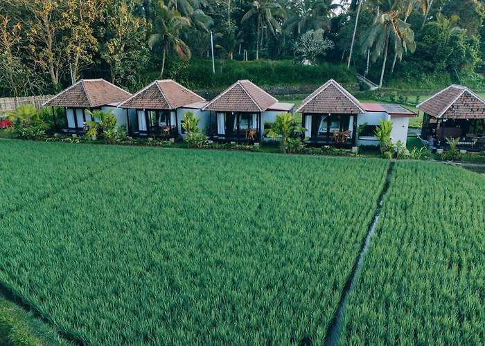 Eco Oasis Wooden Ubud テガララン