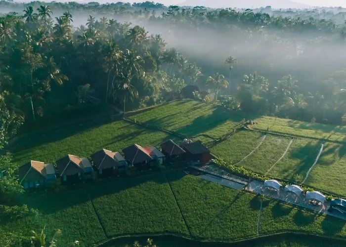 Eco Oasis Wooden Ubud ヴィラ
