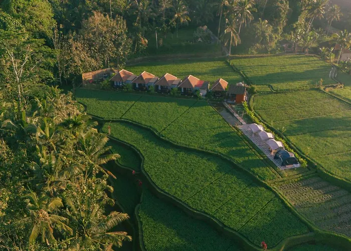 Eco Oasis Wooden Ubud テガララン