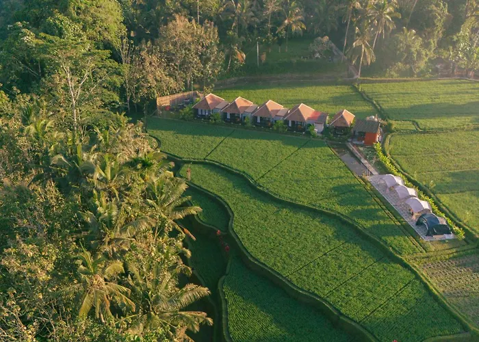 Eco Oasis Wooden Ubud