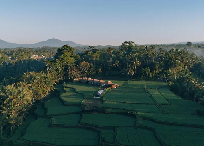 Eco Oasis Wooden Ubud * テガララン