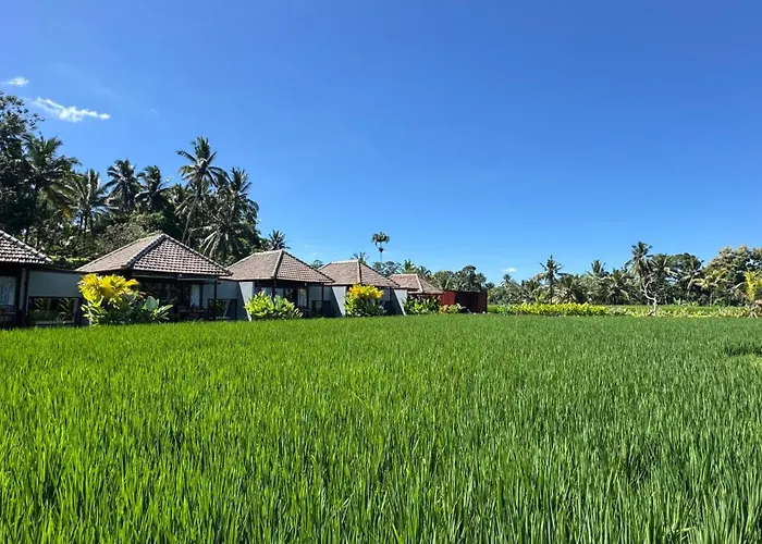 Eco Oasis Wooden Ubud ヴィラ テガララン