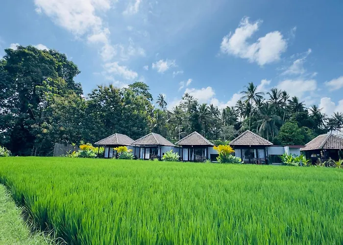 Eco Oasis Wooden Ubud テガララン