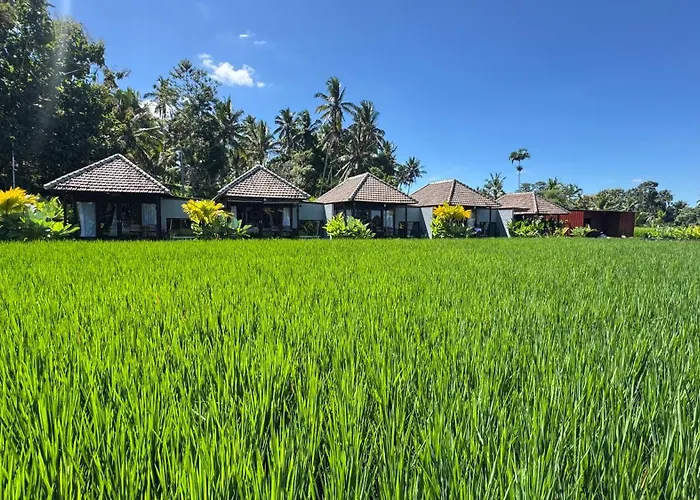 Eco Oasis Wooden Ubud ヴィラ テガララン