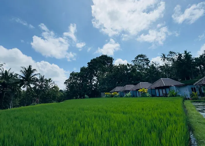Eco Oasis Wooden Ubud ヴィラ テガララン