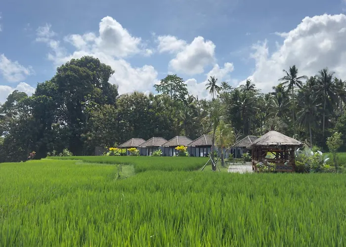 Eco Oasis Wooden Ubud * テガララン